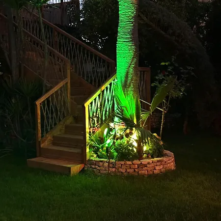 Villa Verde Vlore מלון דירות