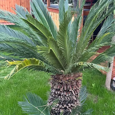 מלון דירות Villa Verde Vlore Vlorë